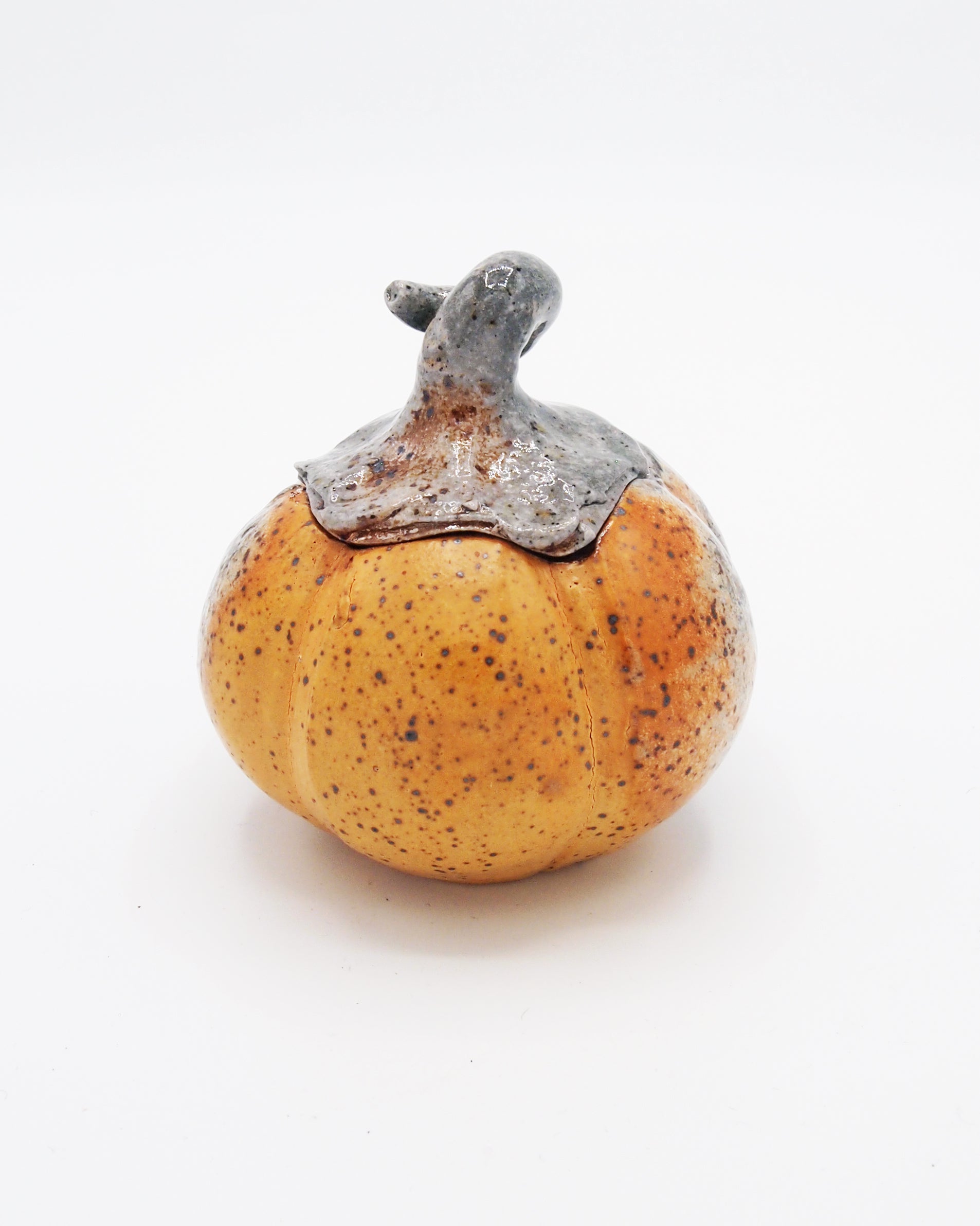 Pumpkin Jar 1