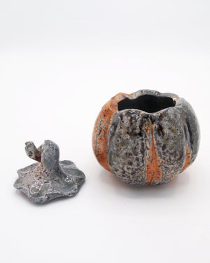 Pumpkin Jar 2