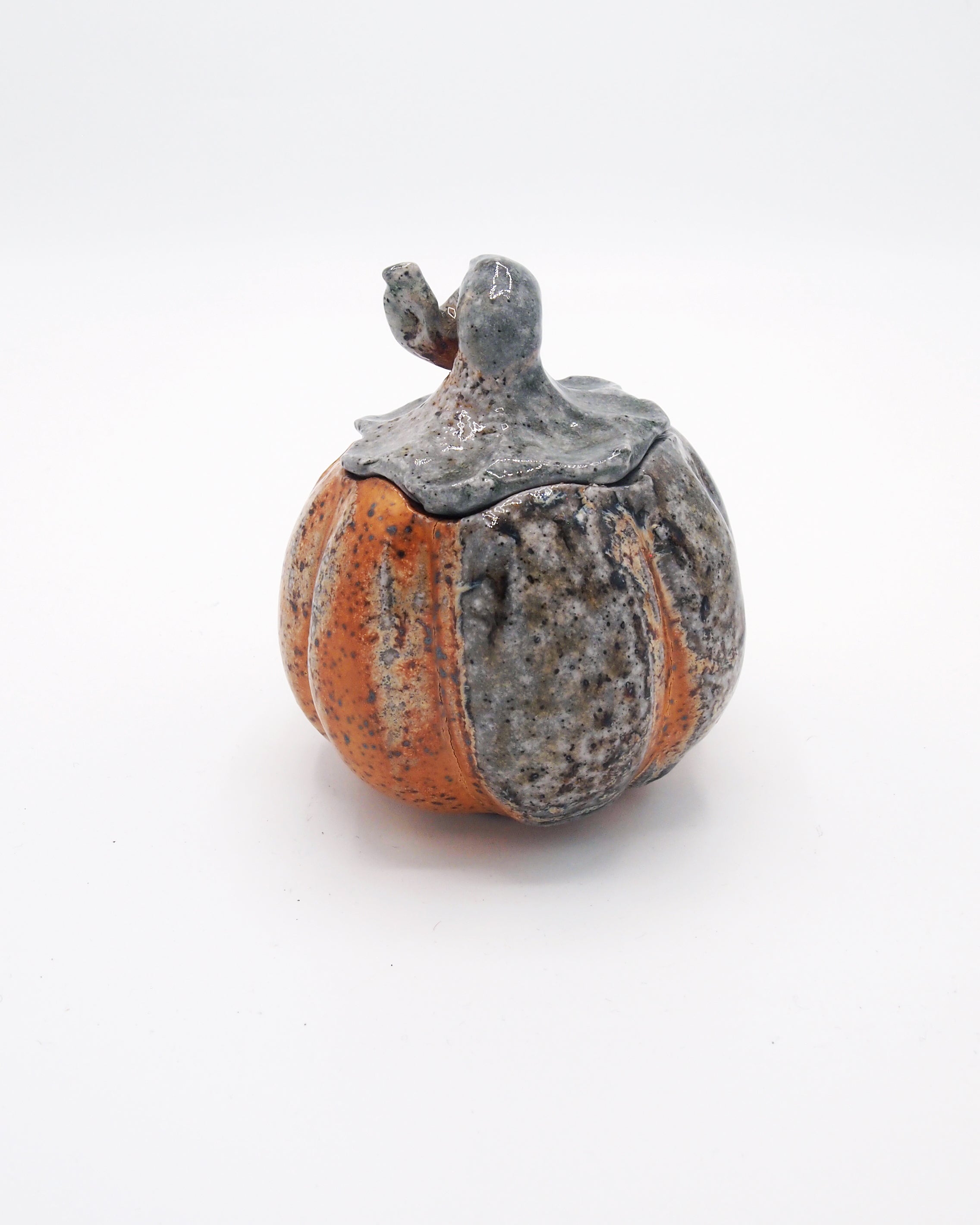 Pumpkin Jar 2