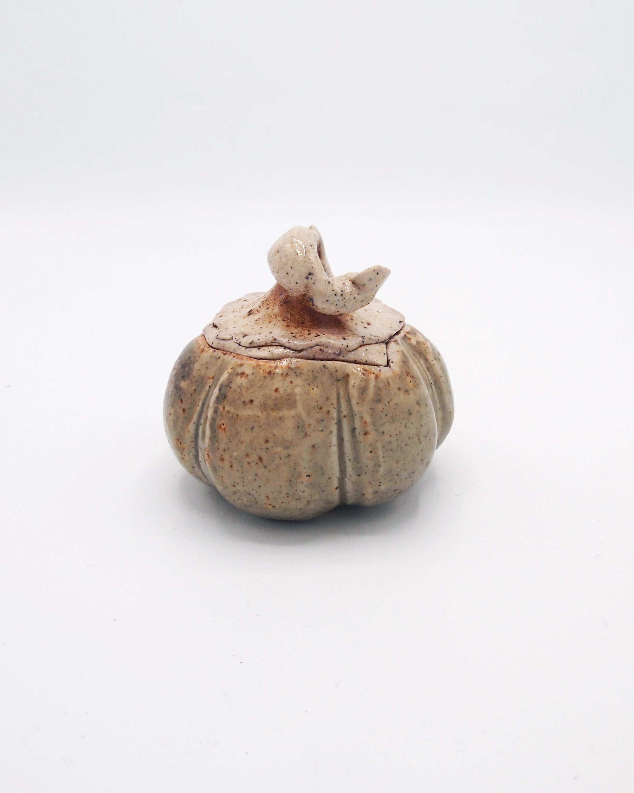 Pumpkin Jar 4