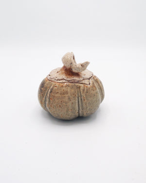 Pumpkin Jar 4