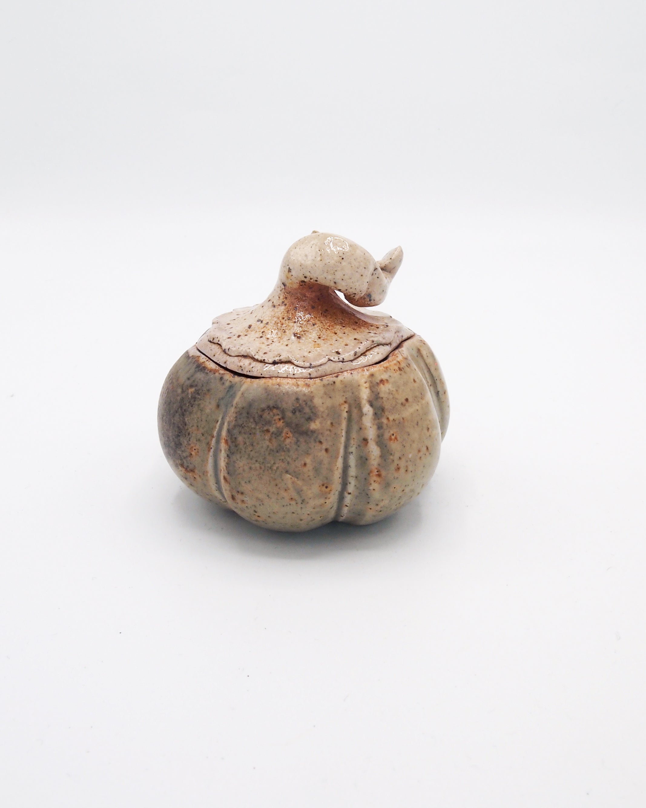 Pumpkin Jar 4