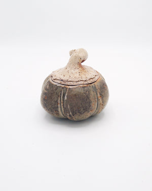 Pumpkin Jar 4