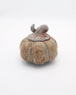 Pumpkin Jar 5