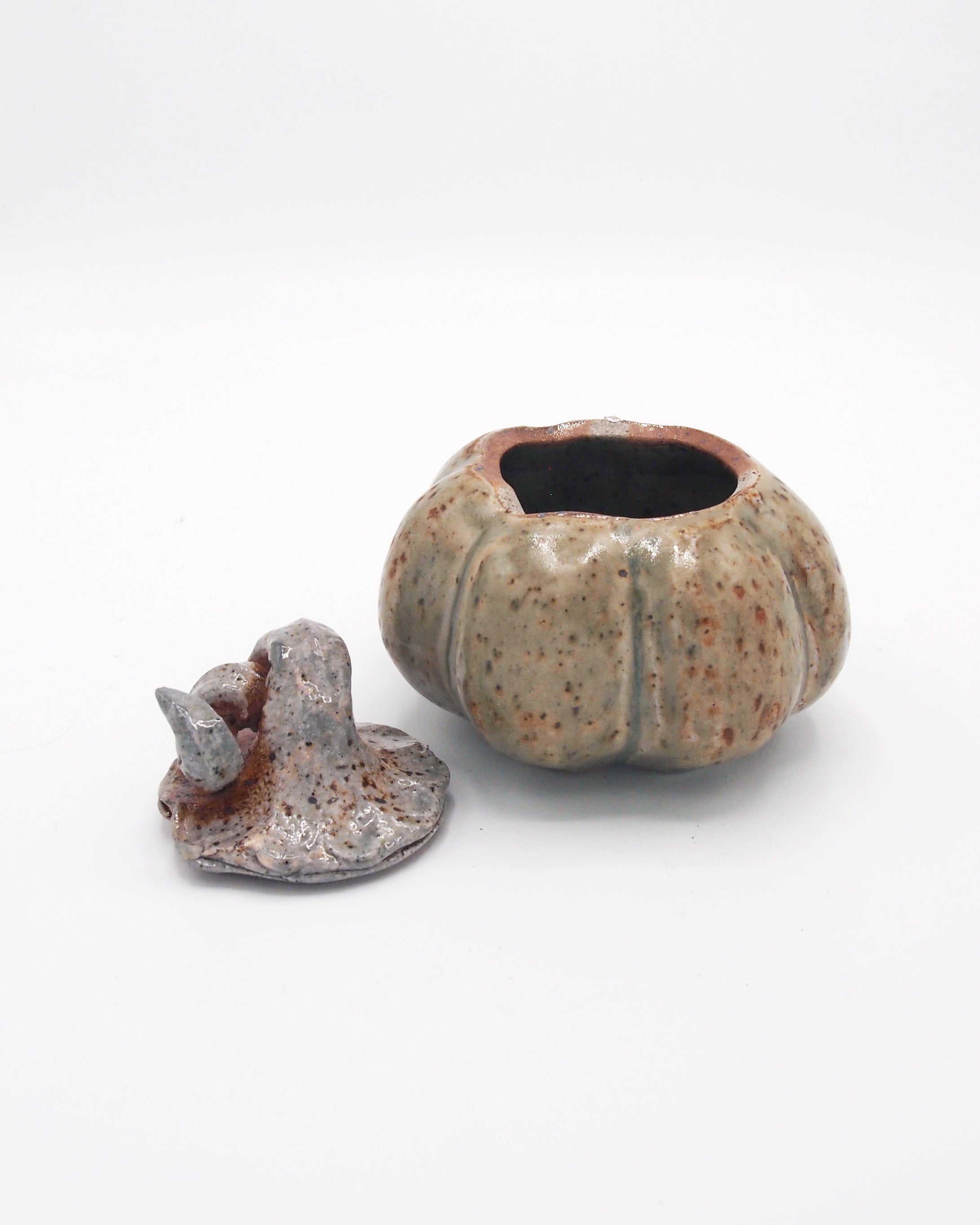 Pumpkin Jar 5