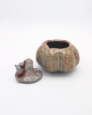 Pumpkin Jar 5