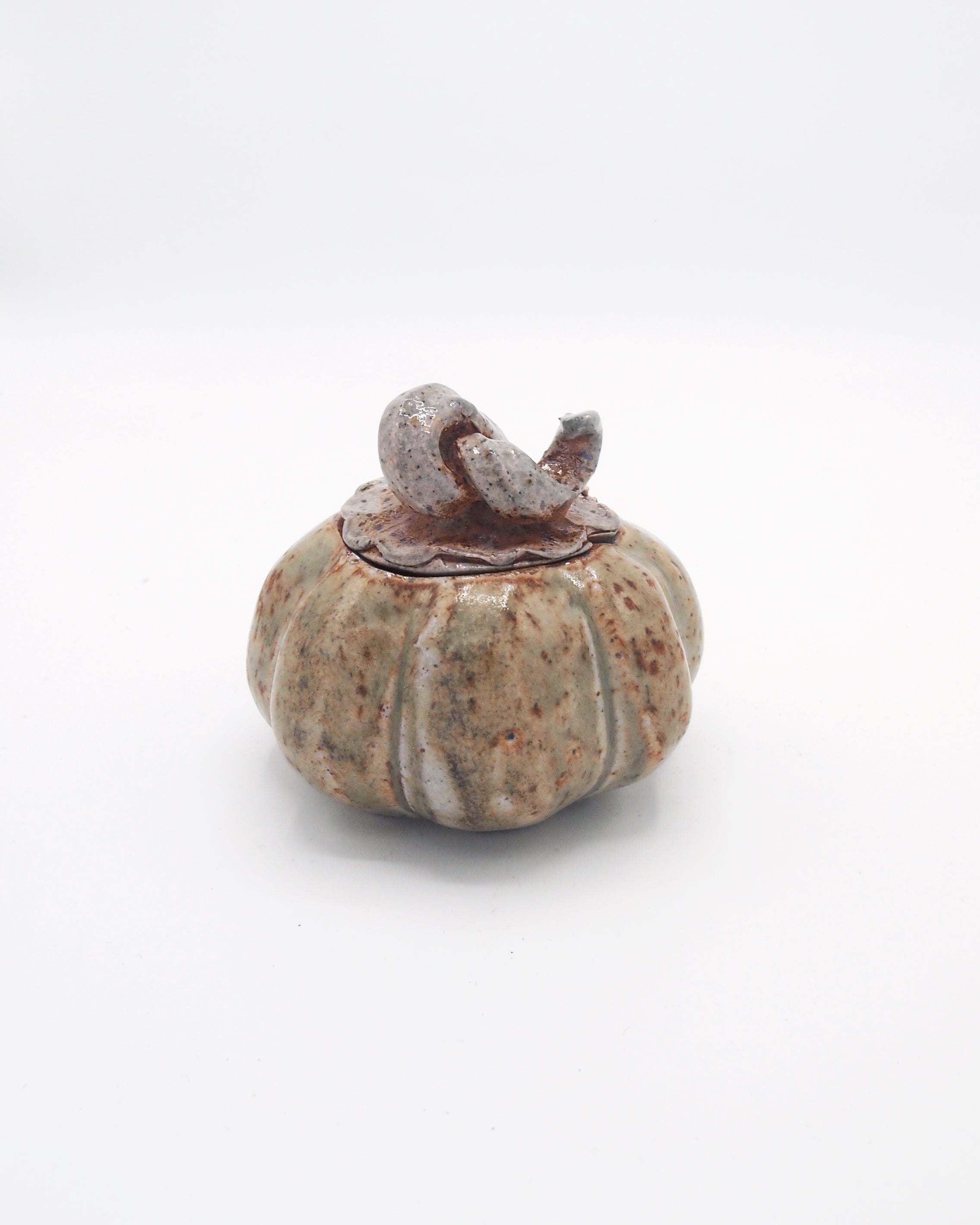 Pumpkin Jar 5