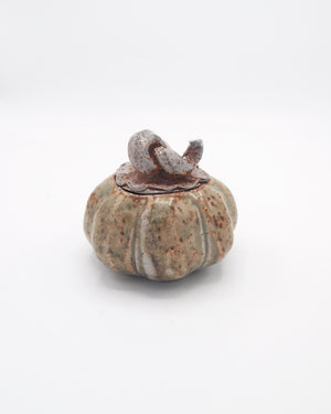 Pumpkin Jar 5