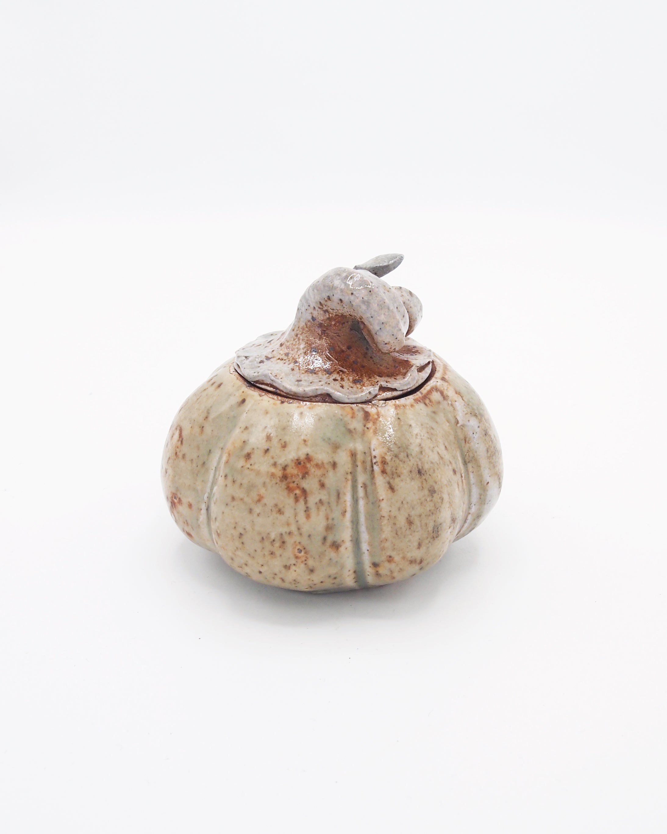 Pumpkin Jar 5