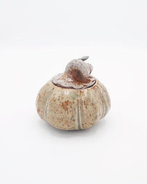 Pumpkin Jar 5