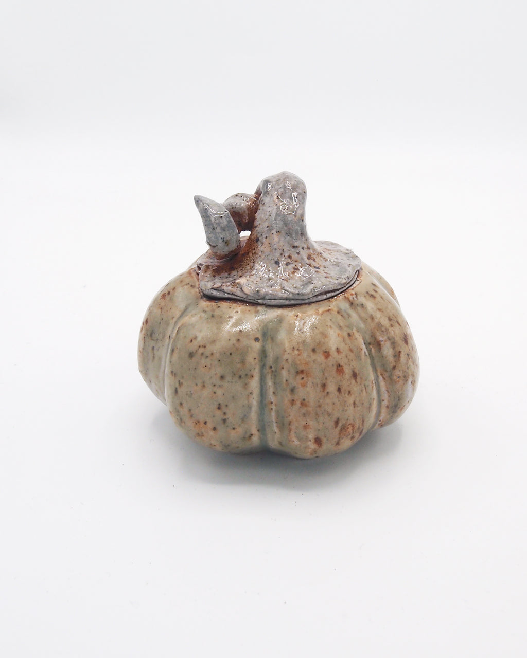 Pumpkin Jar 5