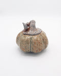 Pumpkin Jar 5