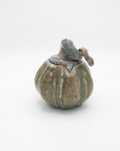 Pumpkin Jar 6