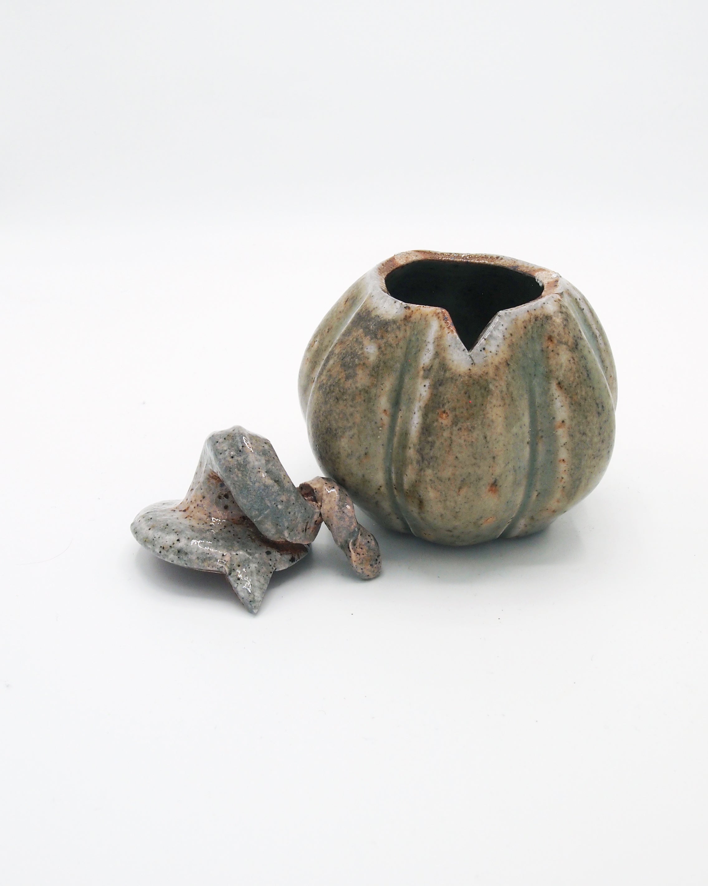 Pumpkin Jar 6
