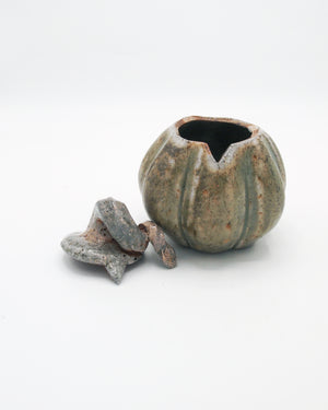 Pumpkin Jar 6