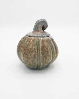 Pumpkin Jar 6
