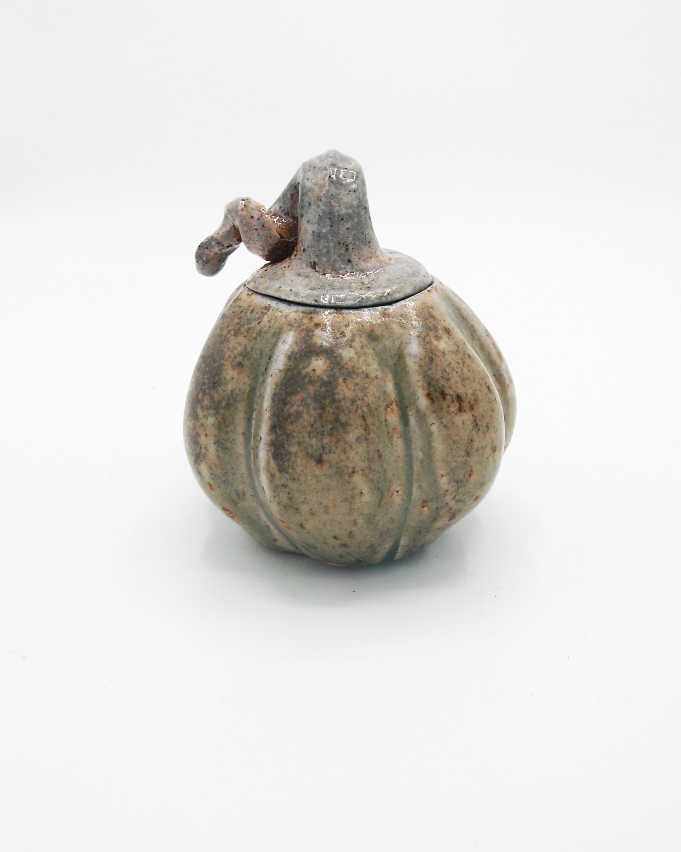 Pumpkin Jar 6