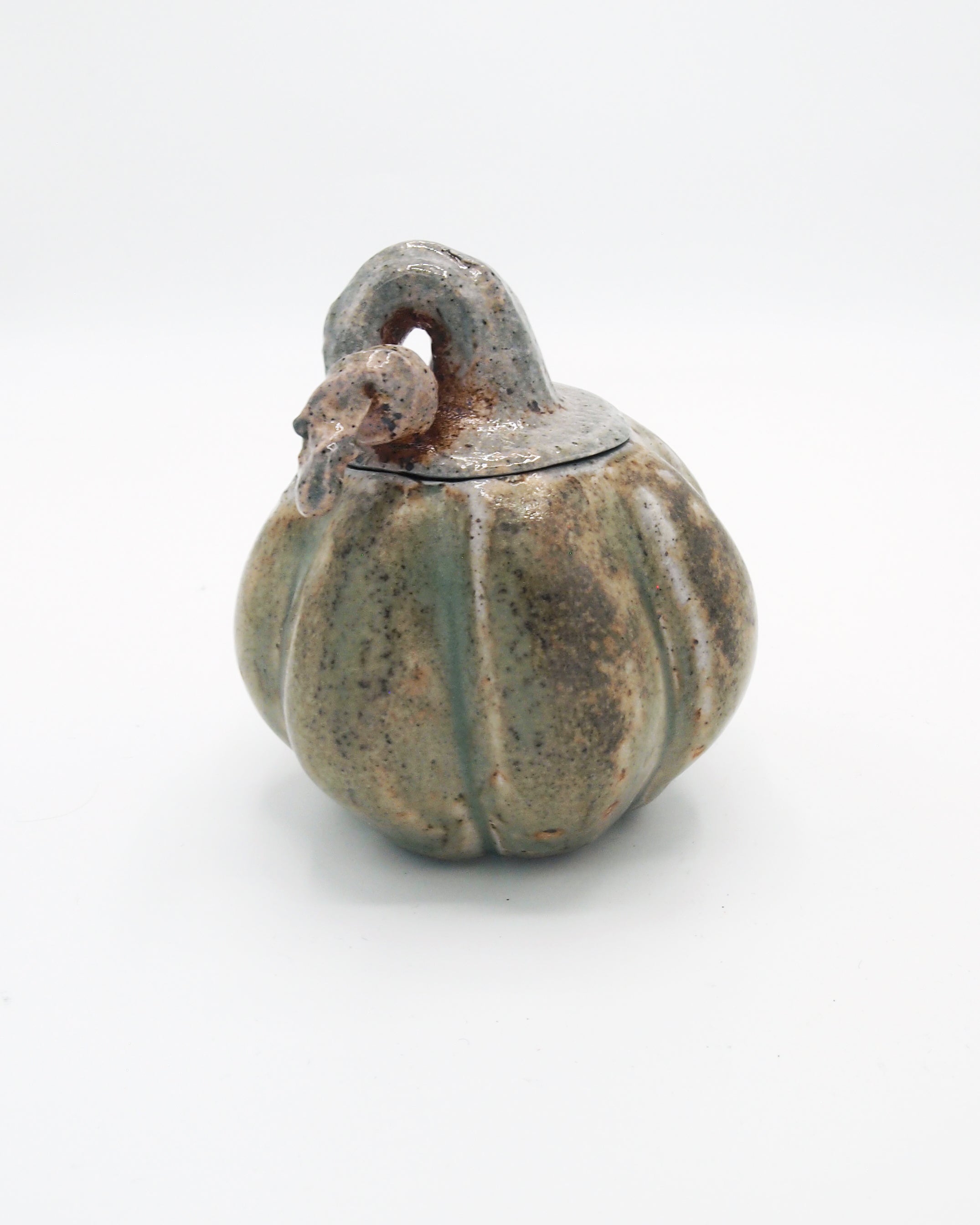 Pumpkin Jar 6