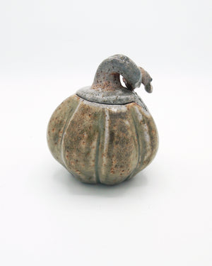 Pumpkin Jar 6