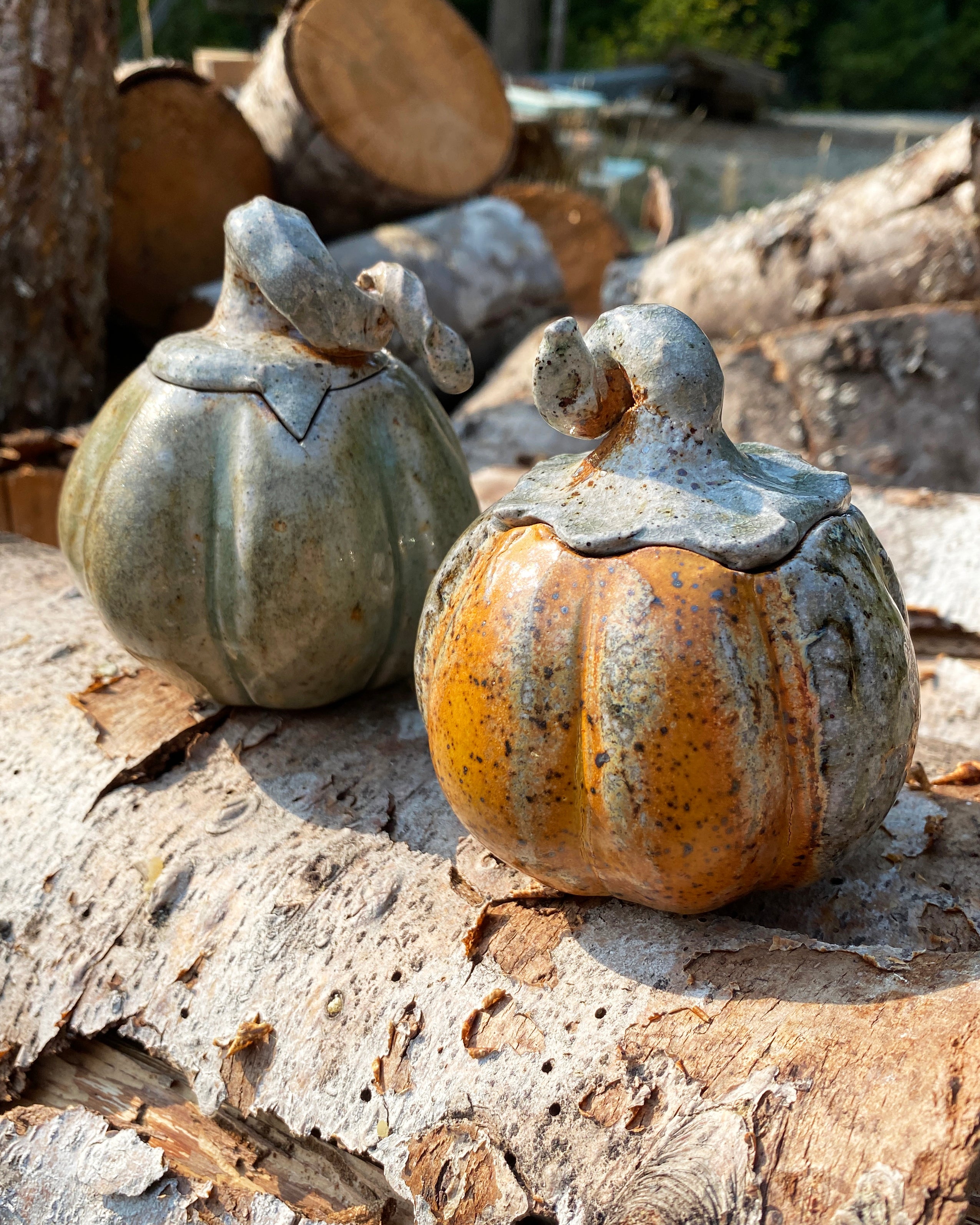Pumpkin Jar 4